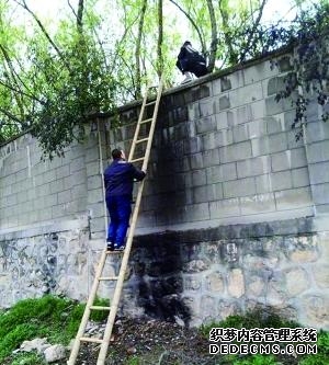 这次在北京的体验特别好全程不用操心不用费力全家人都玩得特别满足