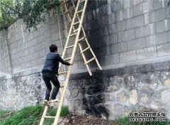 行业软件